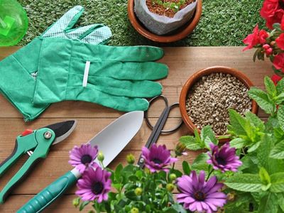 Uporządkuj swoje ogrodowe narzędzia i zainwestuj w domek narzędziowy